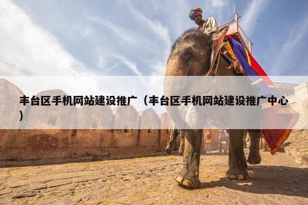丰台区手机网站建设推广（丰台区手机网站建设推广中心）