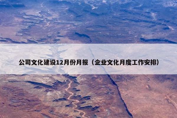 公司文化建设12月份月报（企业文化月度工作安排）