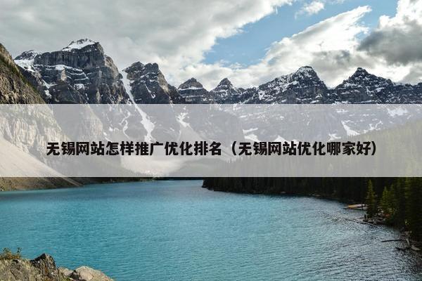无锡网站怎样推广优化排名（无锡网站优化哪家好）