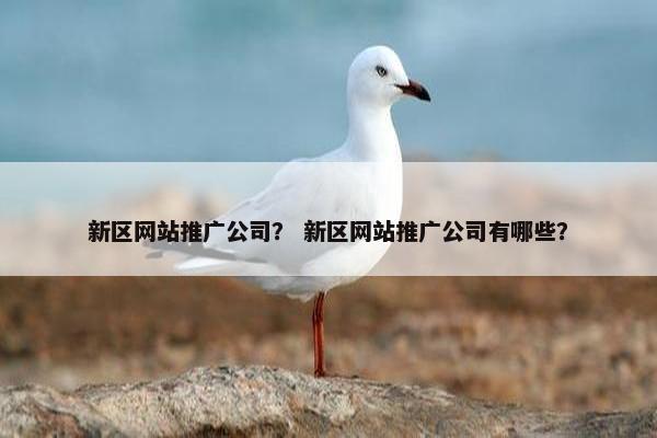 新区网站推广公司？ 新区网站推广公司有哪些？