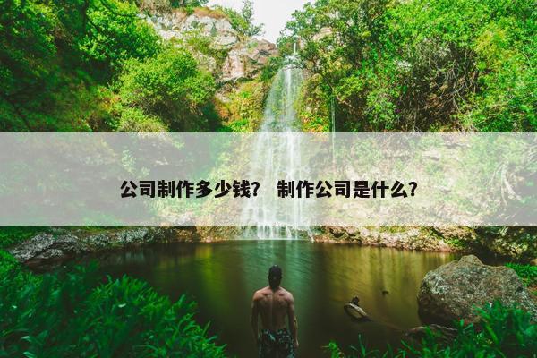 公司制作多少钱？ 制作公司是什么？