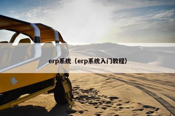 erp系统（erp系统入门教程）