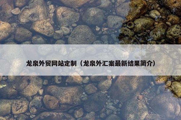 龙泉外贸网站定制（龙泉外汇案最新结果简介）