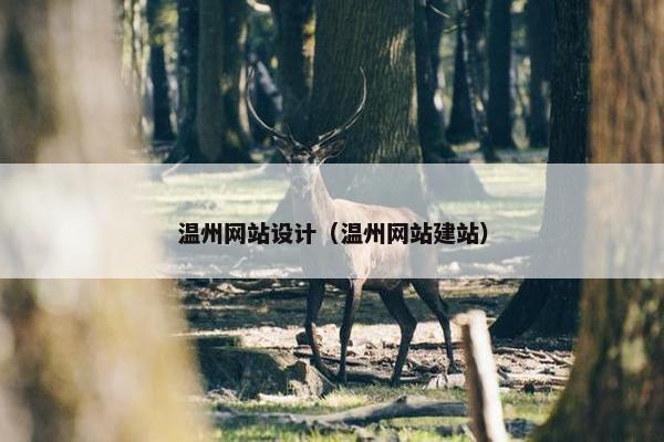 温州网站设计（温州网站建站）