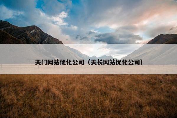 天门网站优化公司（天长网站优化公司）