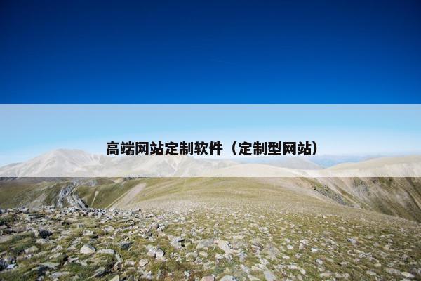 高端网站定制软件（定制型网站）