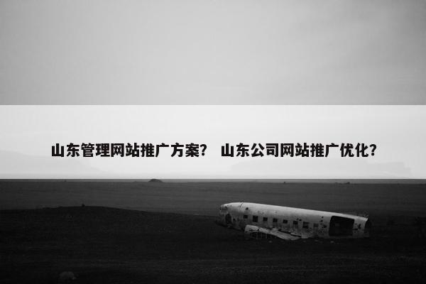 山东管理网站推广方案？ 山东公司网站推广优化？