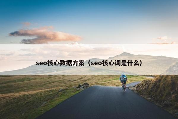 seo核心数据方案（seo核心词是什么）