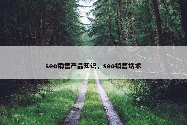 seo销售产品知识，seo销售话术