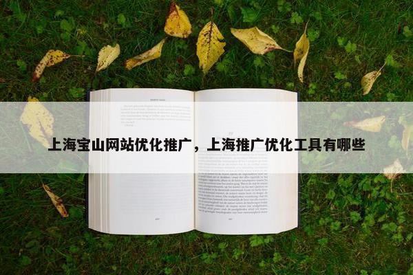 上海宝山网站优化推广，上海推广优化工具有哪些