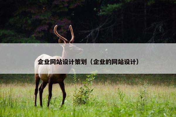企业网站设计策划（企业的网站设计）
