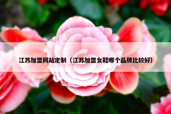 江苏加盟网站定制（江苏加盟女鞋哪个品牌比较好）