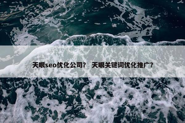 天眼seo优化公司？ 天眼关键词优化推广？