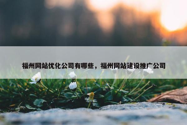 福州网站优化公司有哪些，福州网站建设推广公司