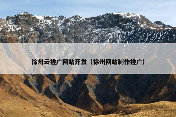 徐州云推广网站开发（徐州网站制作推广）
