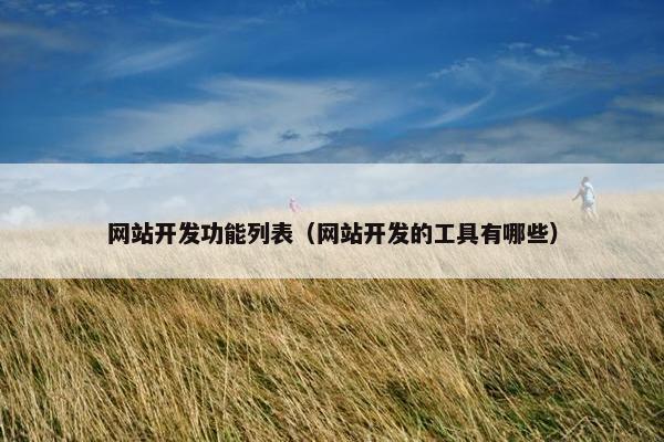 网站开发功能列表（网站开发的工具有哪些）