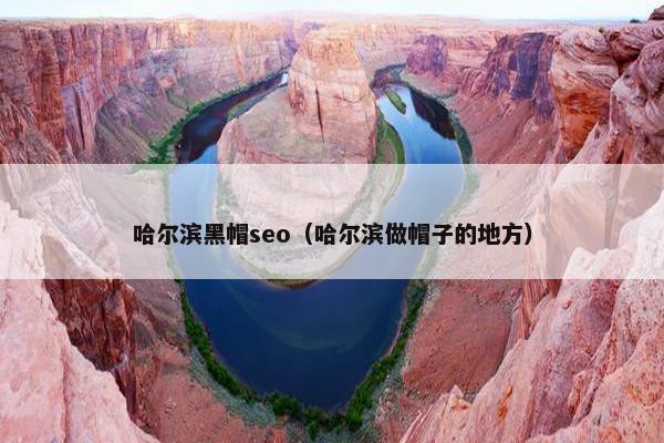 哈尔滨黑帽seo（哈尔滨做帽子的地方）