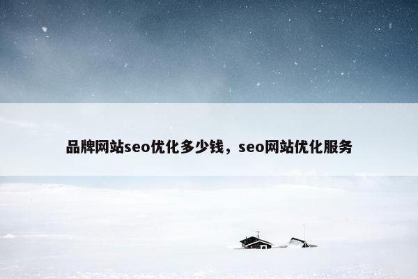 品牌网站seo优化多少钱，seo网站优化服务