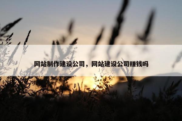 网站制作建设公司，网站建设公司赚钱吗