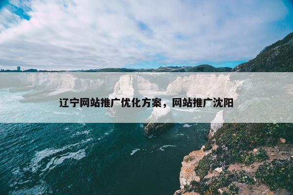 辽宁网站推广优化方案，网站推广沈阳