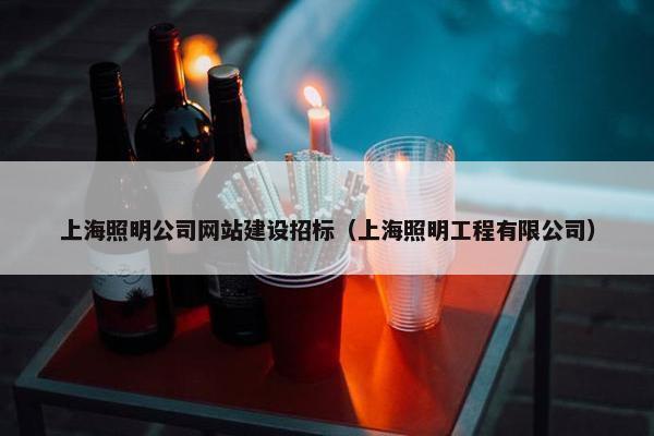 上海照明公司网站建设招标（上海照明工程有限公司）
