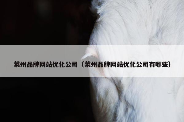 莱州品牌网站优化公司（莱州品牌网站优化公司有哪些）