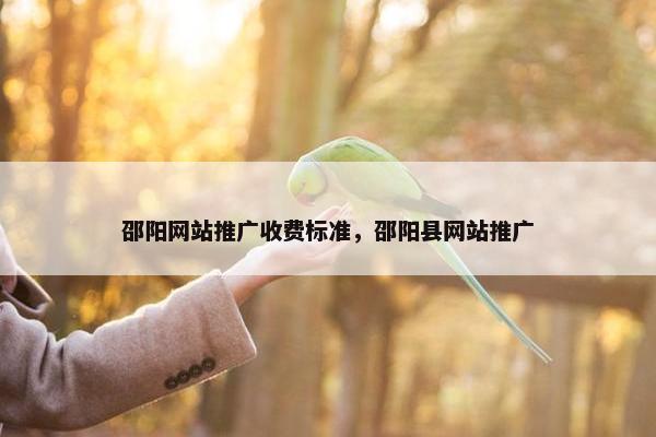 邵阳网站推广收费标准，邵阳县网站推广