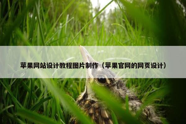 苹果网站设计教程图片制作（苹果官网的网页设计）