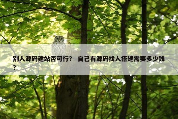 别人源码建站否可行？ 自己有源码找人搭建需要多少钱？