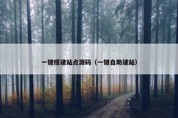 一键搭建站点源码（一键自助建站）