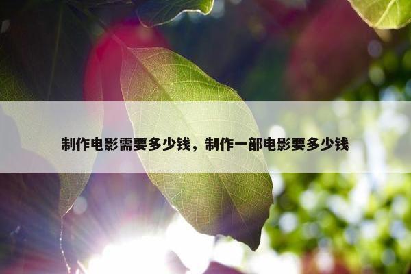 制作电影需要多少钱，制作一部电影要多少钱