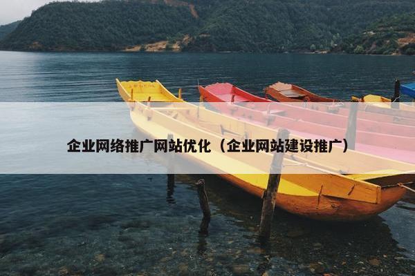 企业网络推广网站优化（企业网站建设推广）