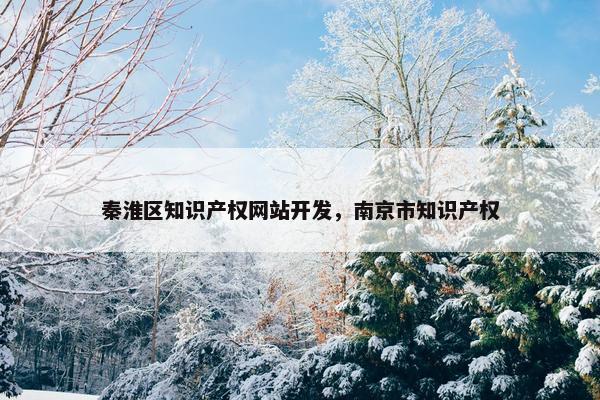 秦淮区知识产权网站开发，南京市知识产权