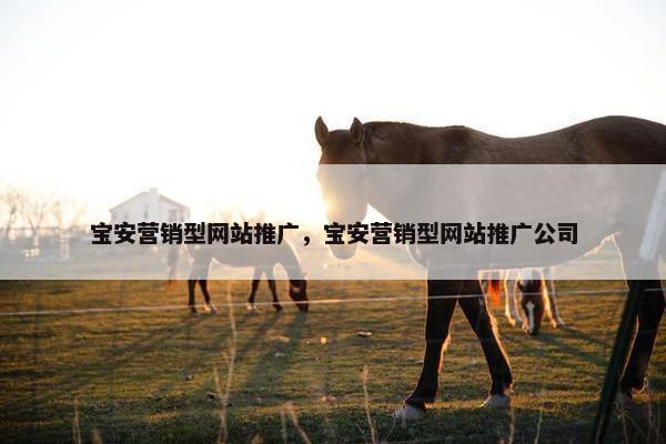 宝安营销型网站推广，宝安营销型网站推广公司