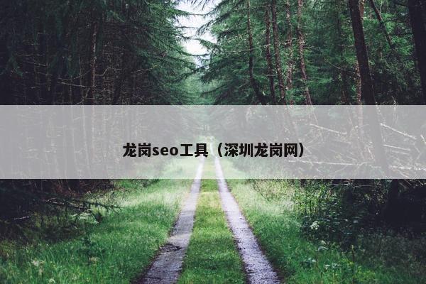 龙岗seo工具（深圳龙岗网）