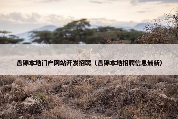 盘锦本地门户网站开发招聘（盘锦本地招聘信息最新）