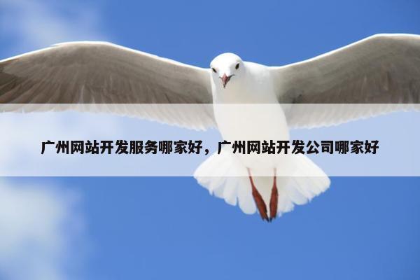 广州网站开发服务哪家好，广州网站开发公司哪家好