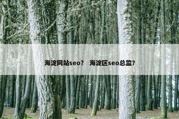 海淀网站seo？ 海淀区seo总监？