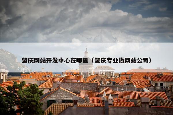 肇庆网站开发中心在哪里（肇庆专业做网站公司）