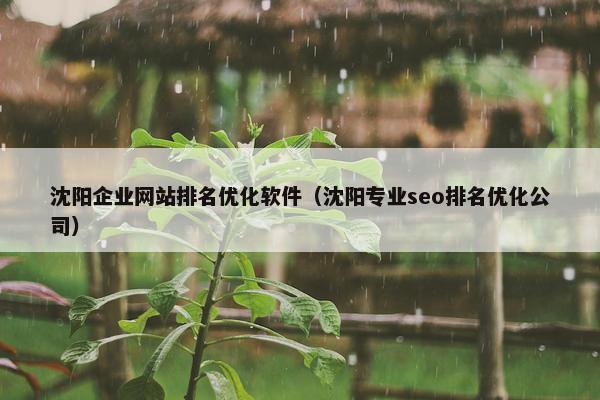 沈阳企业网站排名优化软件（沈阳专业seo排名优化公司）