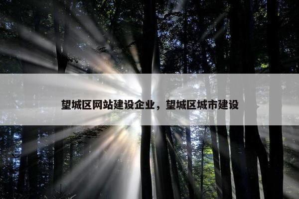 望城区网站建设企业，望城区城市建设