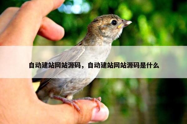 自动建站网站源码，自动建站网站源码是什么