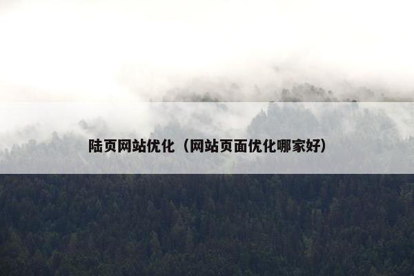 陆页网站优化（网站页面优化哪家好）