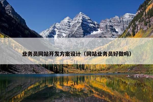业务员网站开发方案设计（网站业务员好做吗）