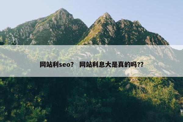网站利seo？ 网站利息大是真的吗?？
