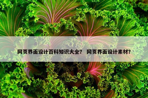 网页界面设计百科知识大全？ 网页界面设计素材？