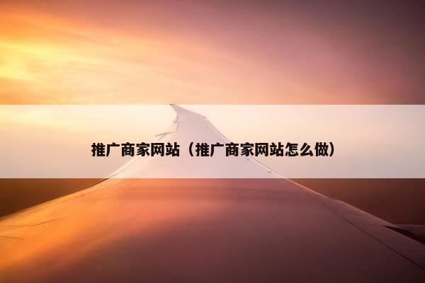 推广商家网站（推广商家网站怎么做）