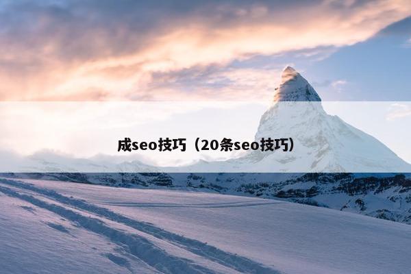 成seo技巧（20条seo技巧）