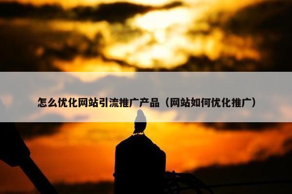 怎么优化网站引流推广产品（网站如何优化推广）