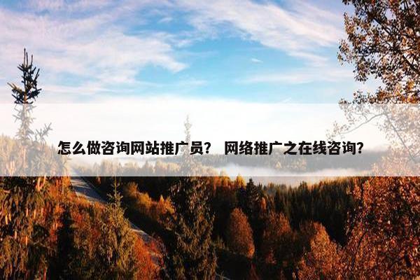 怎么做咨询网站推广员？ 网络推广之在线咨询？
